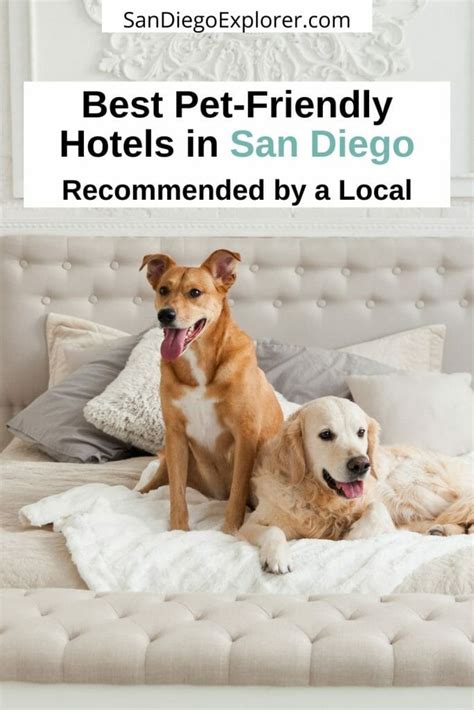 pet friendly hotels map|BringFido: Pet Friendly Hotels & Dog Travel Directory.